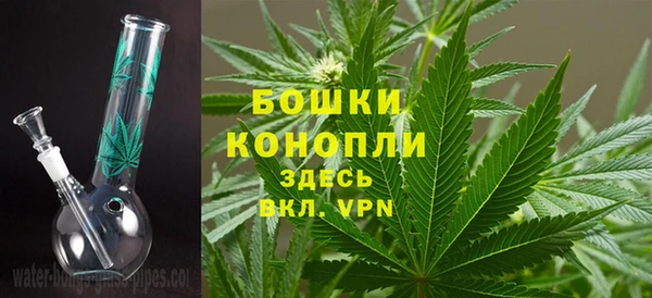 не бодяженный Белокуриха